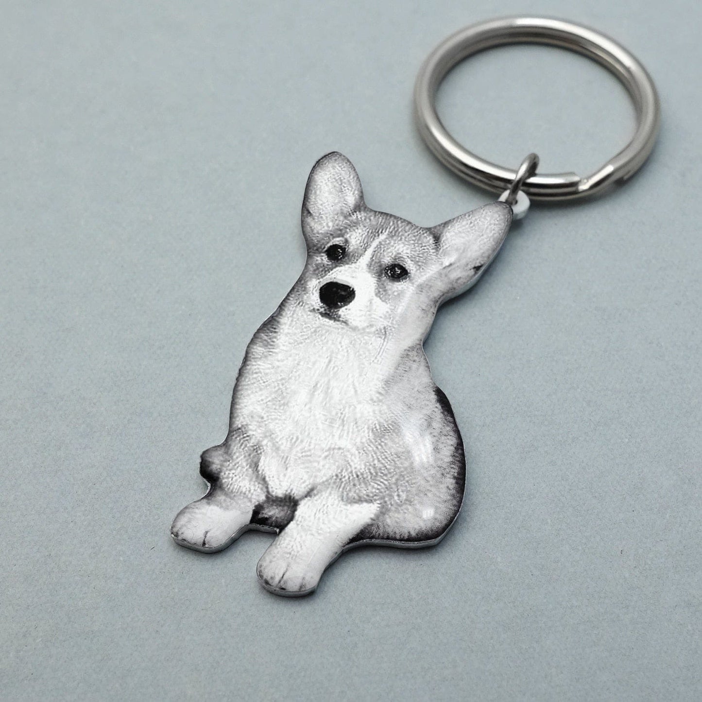Pet Memorial Keychain With Picture & Engraving
