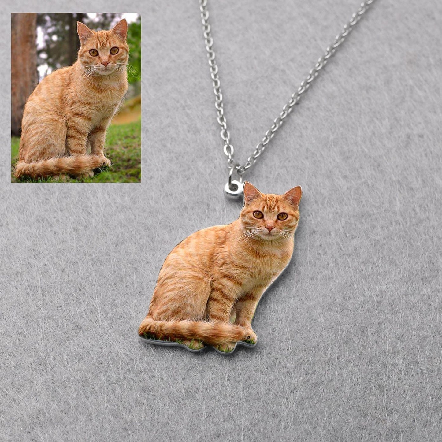 Custom Pet Memorial Necklace With Engraving & Photo
