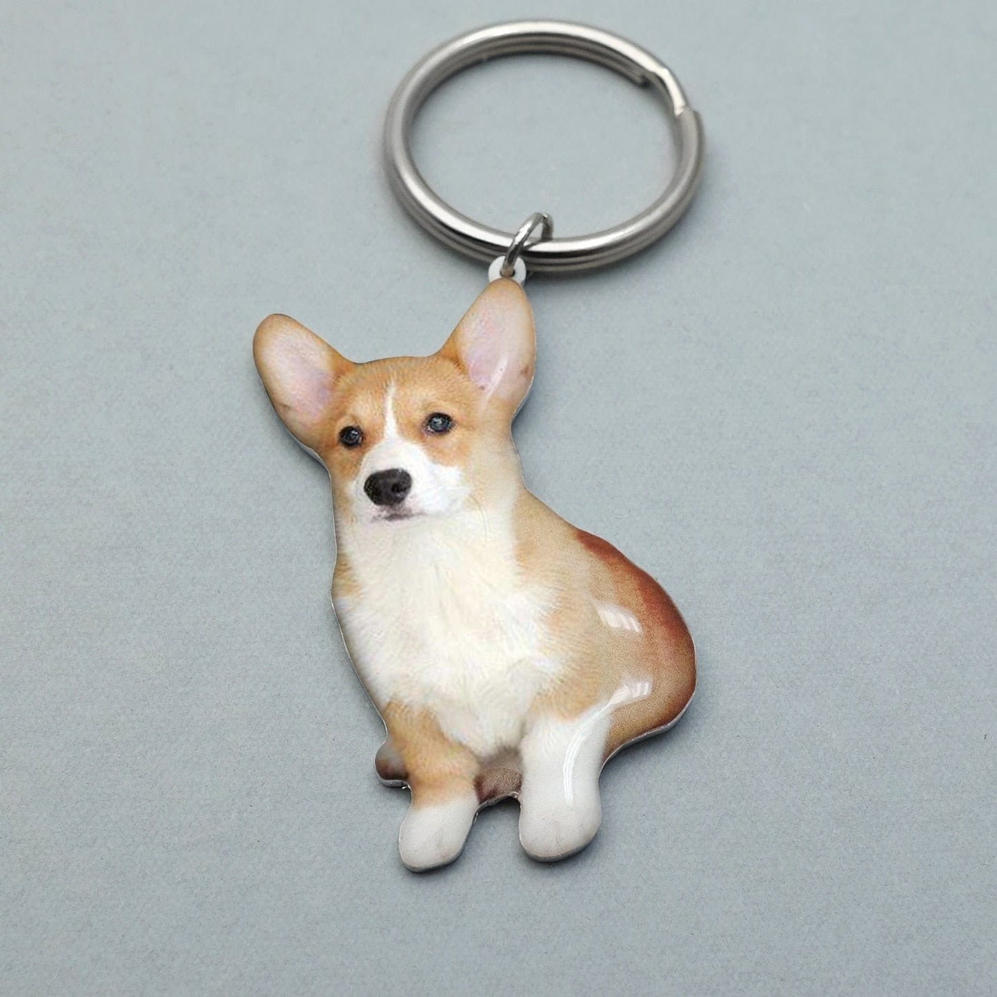 Pet Memorial Keychain With Picture & Engraving