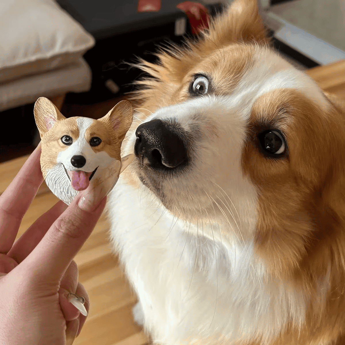 Pet magnet